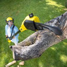 Best Pest Control for Lawns  in Worthington, KY