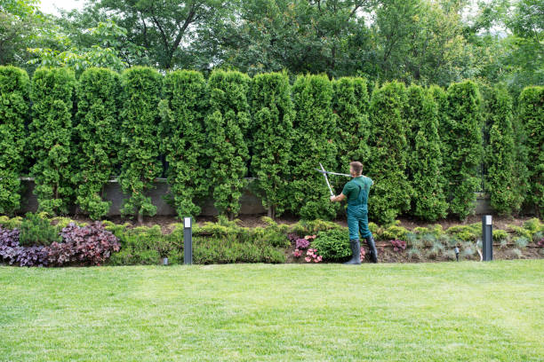Best Tree Risk Assessment  in Worthington, KY