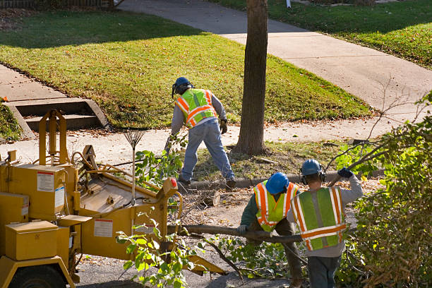 Best Lawn Maintenance Plans  in Worthington, KY