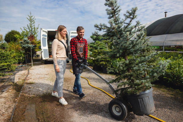 Best Lawn Pest Prevention  in Worthington, KY